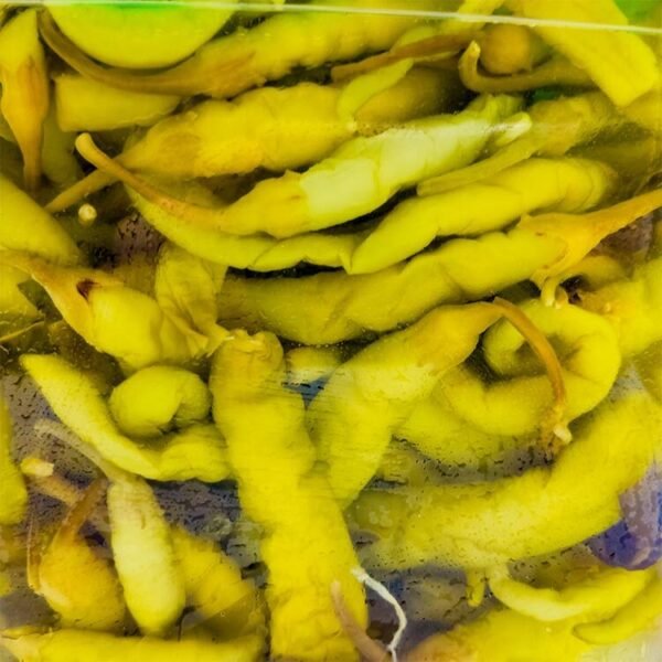 Guindilla 1,5 kg peso neto - Imagen 3